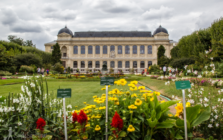 Visit the Jardin des Plantes and the National Museum of Natural History